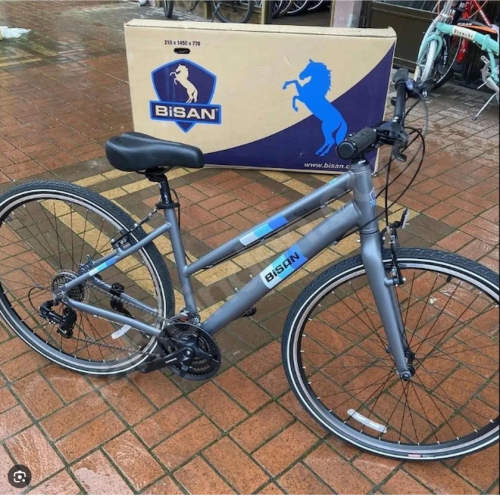 BİSAN GUİDA LADY METALİK GRİ/MAVİ/BEYAZ - BİSAN