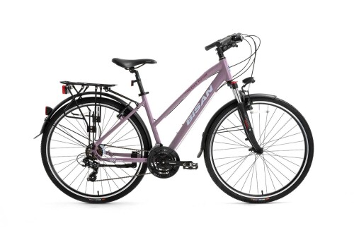 BİSAN TRX 8200 CITY MAT MOR Kadro: 17,5