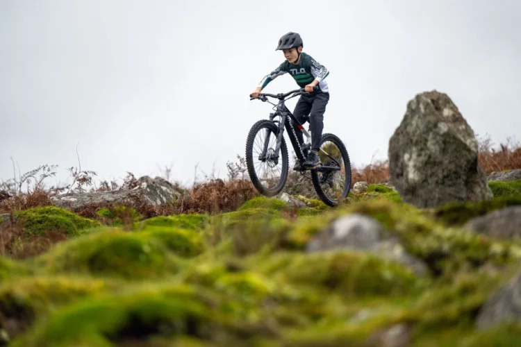 MONDRAKER F-TRICK 24 TONİC GOLD - 2